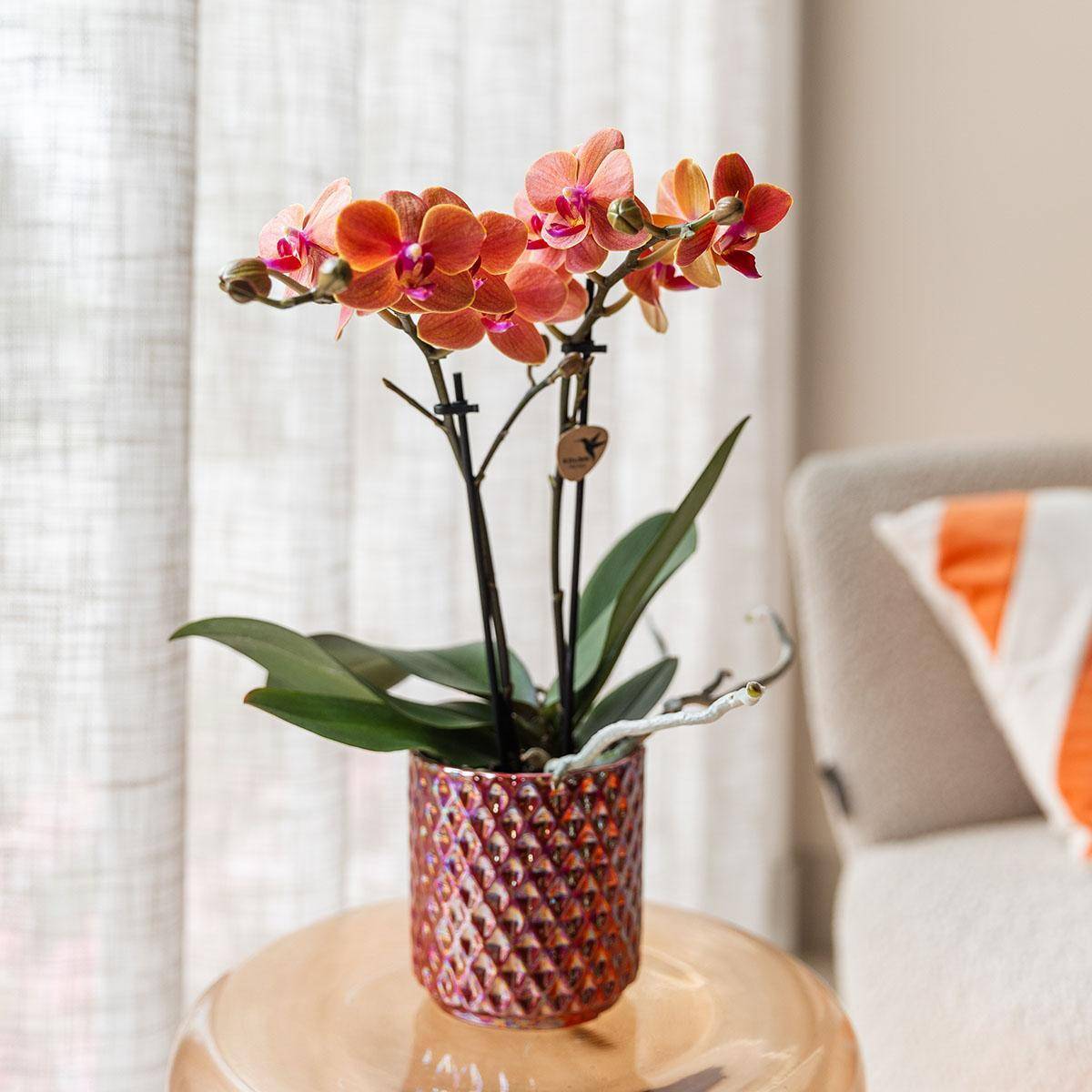 Pot Décoratif Diamond Pearl Rouge- La Green Touch - Imagen 2