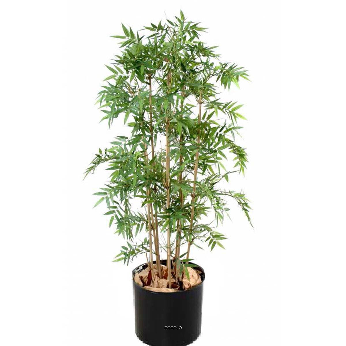 Artificielles - Bambou Oriental factice x9 moyenne feuille tissu pot H110cm D50cm Vert - dimhaut: H 110 cm - couleur: Vert