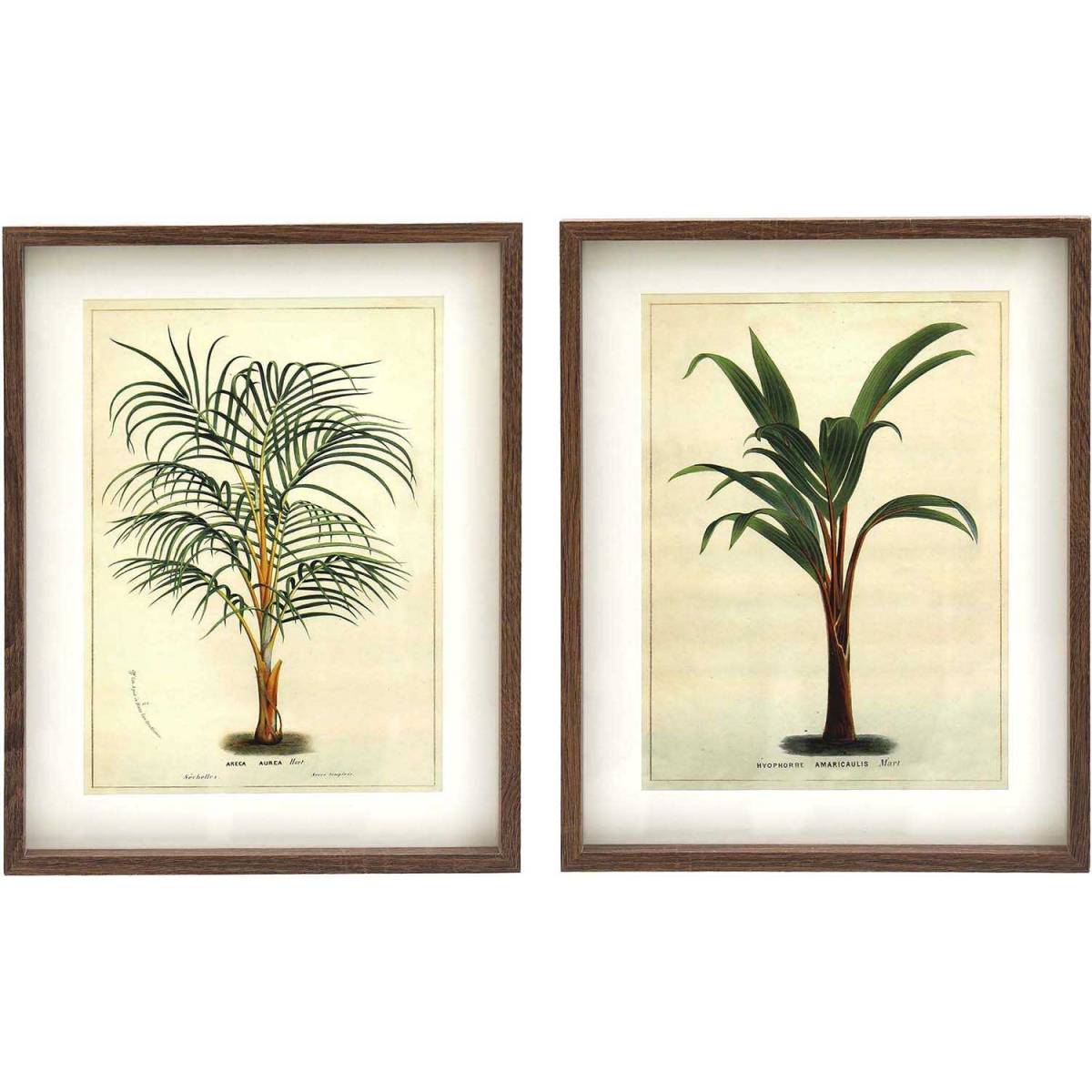 Sil - Assortiment de 2 cadres Palmiers