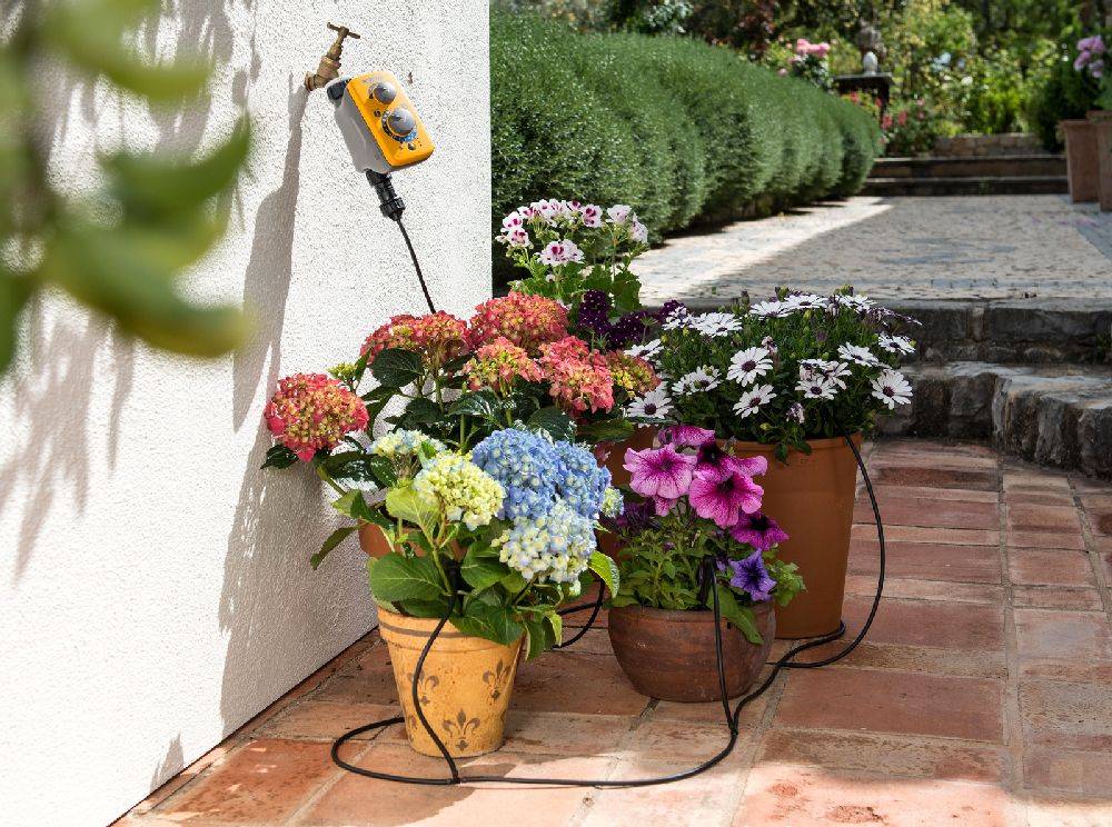 Hozelock - Kit d’arrosage automatique Micro Irrigation 25 pots HOZELOCK - Imagen 1