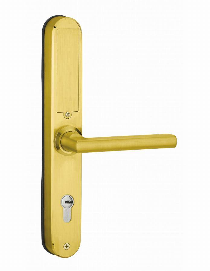 Garniture de porte Intelock Multi THIRARD entraxe 85 Révers. carré 8 - Or - 78913 - Imagen 2