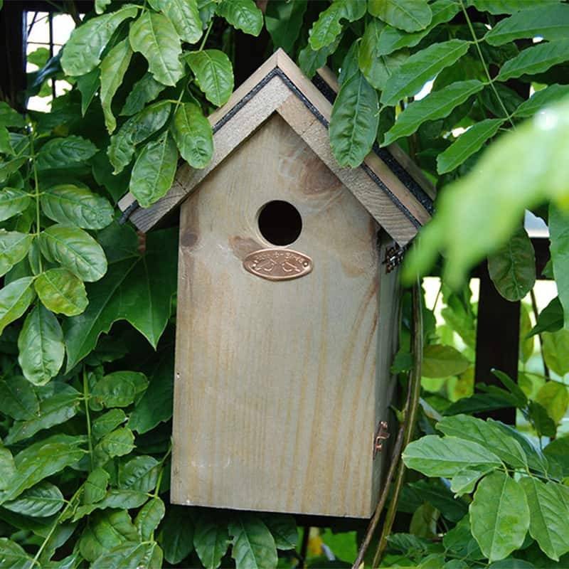 Esschert Design - Nichoir Roitelet Toit en bitume 22 cm - Esschert Design - Image 5