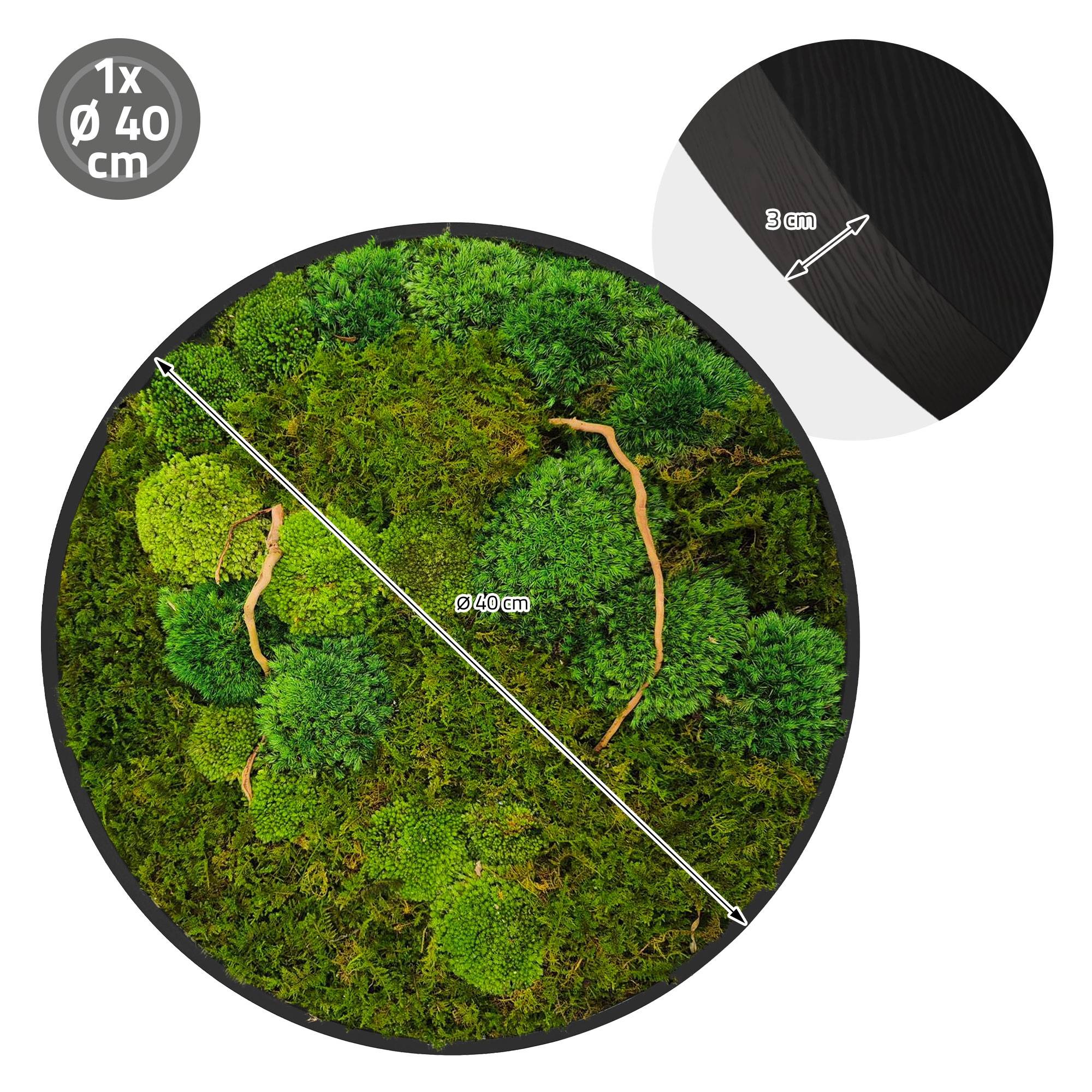 Ecd-Germany - Tableau végétal mural, mélange de mousses stabilisées et de branches, rond Ø40cm, vert, décoration d'intérieur effet 3D, sans entretien, pièce unique - Image 8