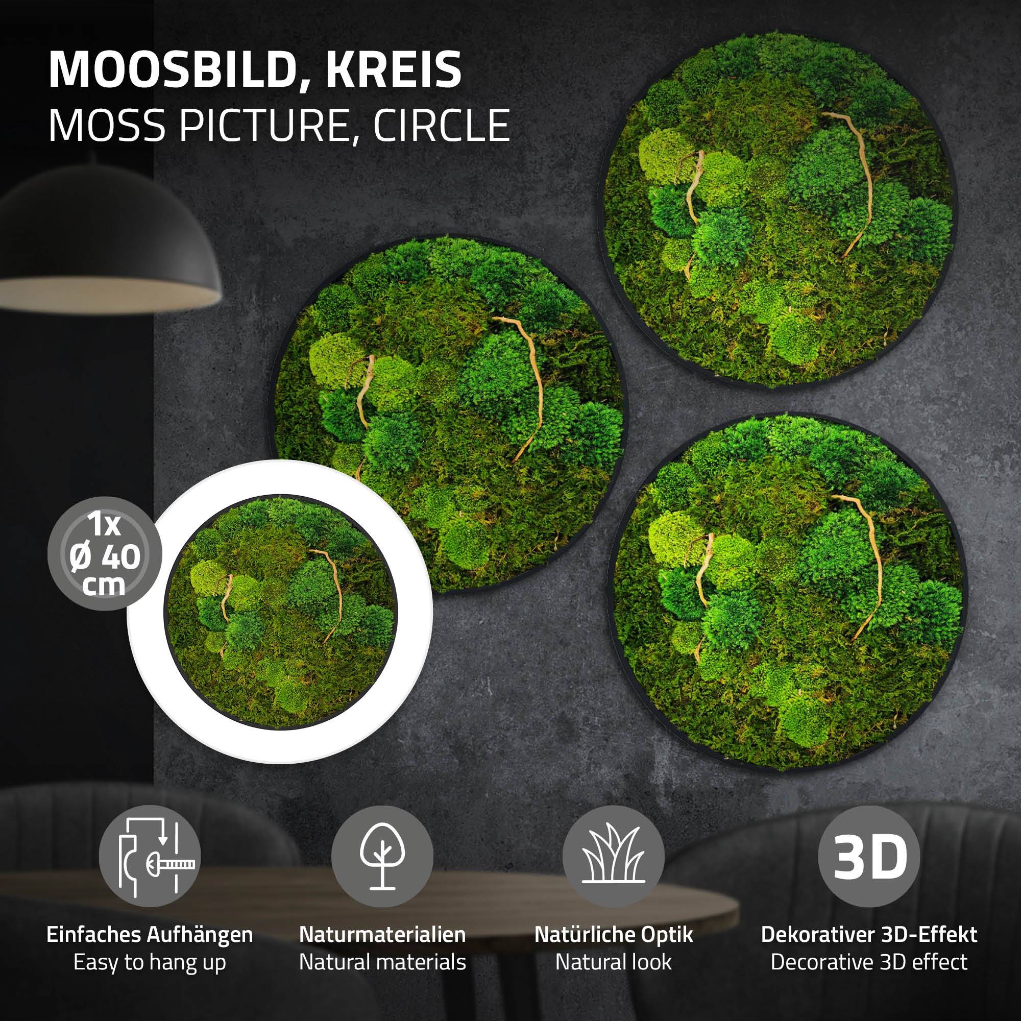 Ecd-Germany - Tableau végétal mural, mélange de mousses stabilisées et de branches, rond Ø40cm, vert, décoration d'intérieur effet 3D, sans entretien, pièce unique - Image 2