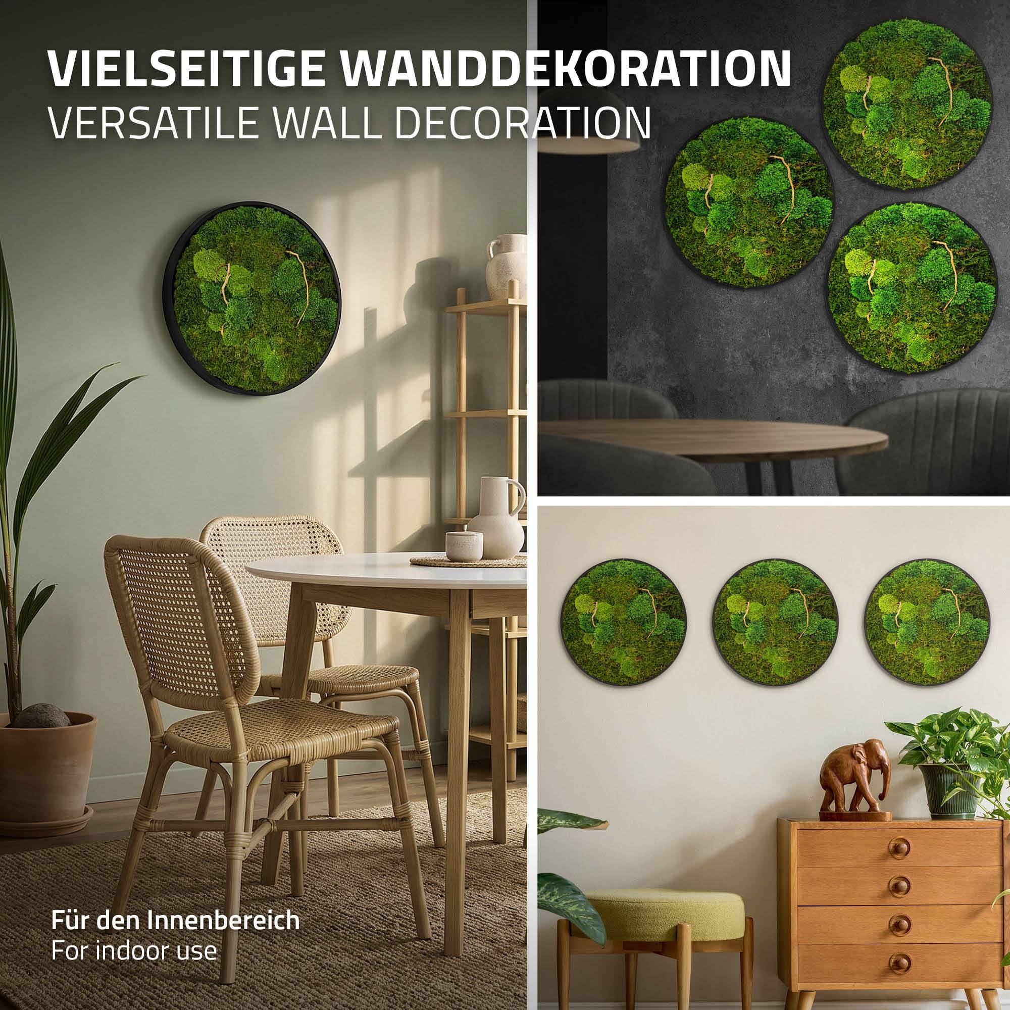 Ecd-Germany - Tableau végétal mural, mélange de mousses stabilisées et de branches, rond Ø40cm, vert, décoration d'intérieur effet 3D, sans entretien, pièce unique - Image 5