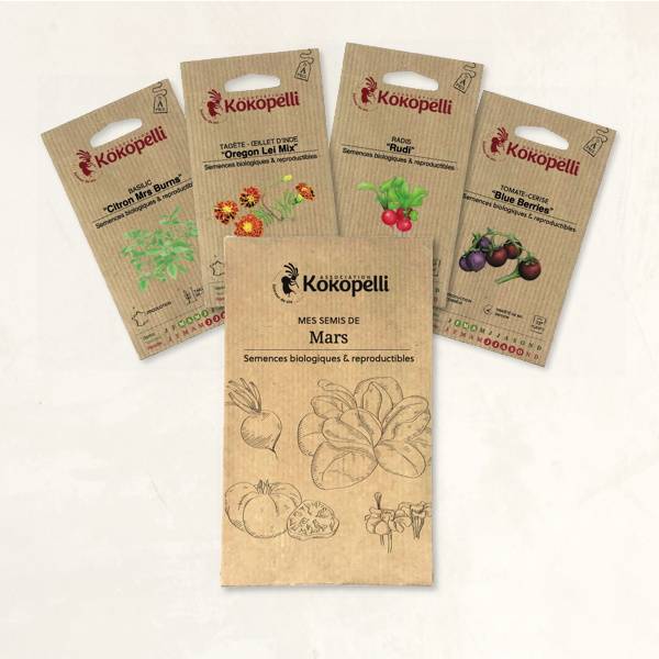 Mes semis de mars - 4 sachets de graines bio à semer- Association Kokopelli - Imagen 2