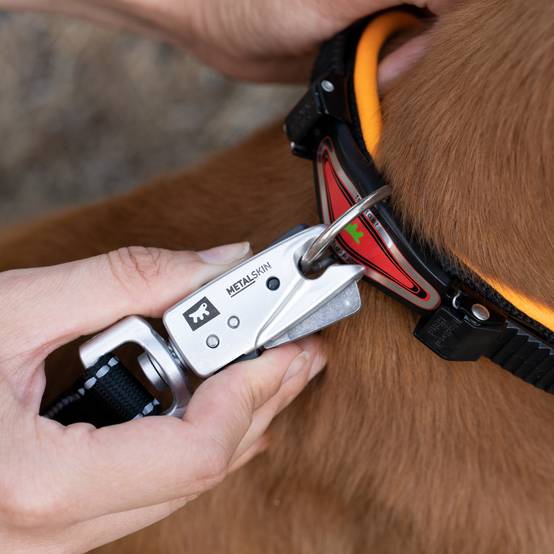 Ferplast - Ferplast Laisse pour chien ERGOFLUO MATIC, Laisse pour chien taille moyenne, Mousqueton innovant avec mécanisme magnétique, Poignée rembourrée, Nylon. - Image 4