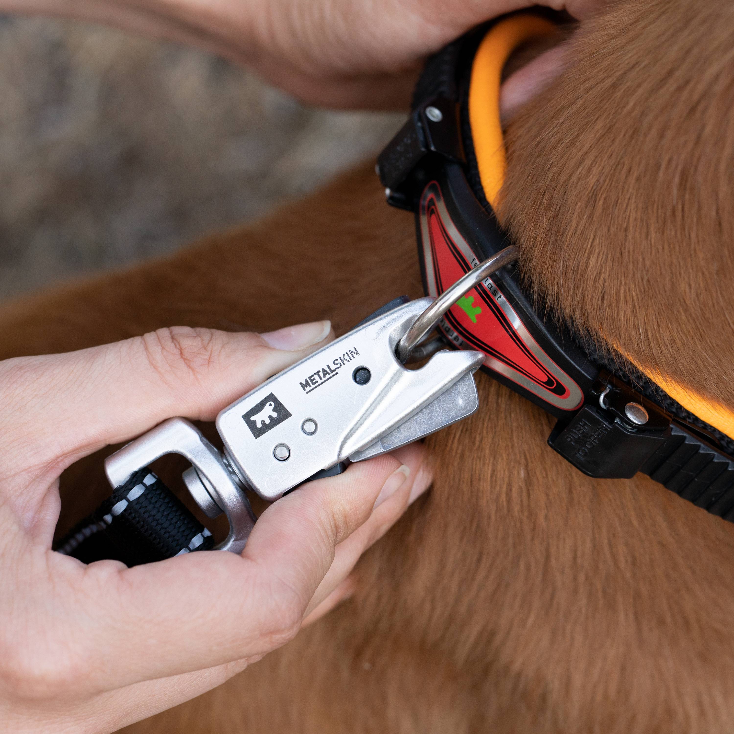 Ferplast - Ferplast Laisse pour chien ERGOFLUO MATIC, Laisse pour chien taille moyenne, Mousqueton innovant avec mécanisme magnétique, Poignée rembourrée, Nylon. - Image 4