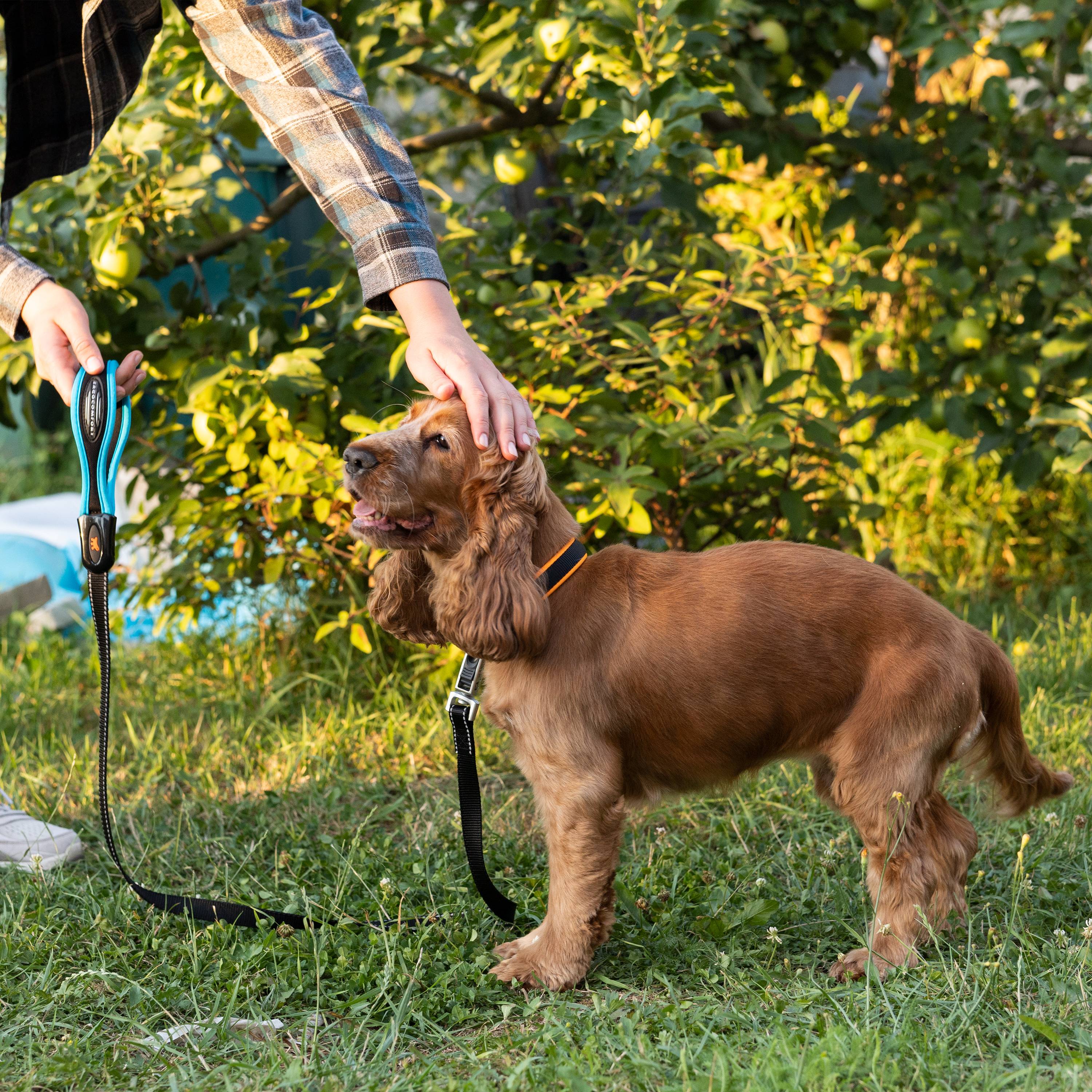 Ferplast - Ferplast Laisse pour chien ERGOFLUO MATIC, Laisse pour chien taille moyenne, Mousqueton innovant avec mécanisme magnétique, Poignée rembourrée, Nylon. - Image 3