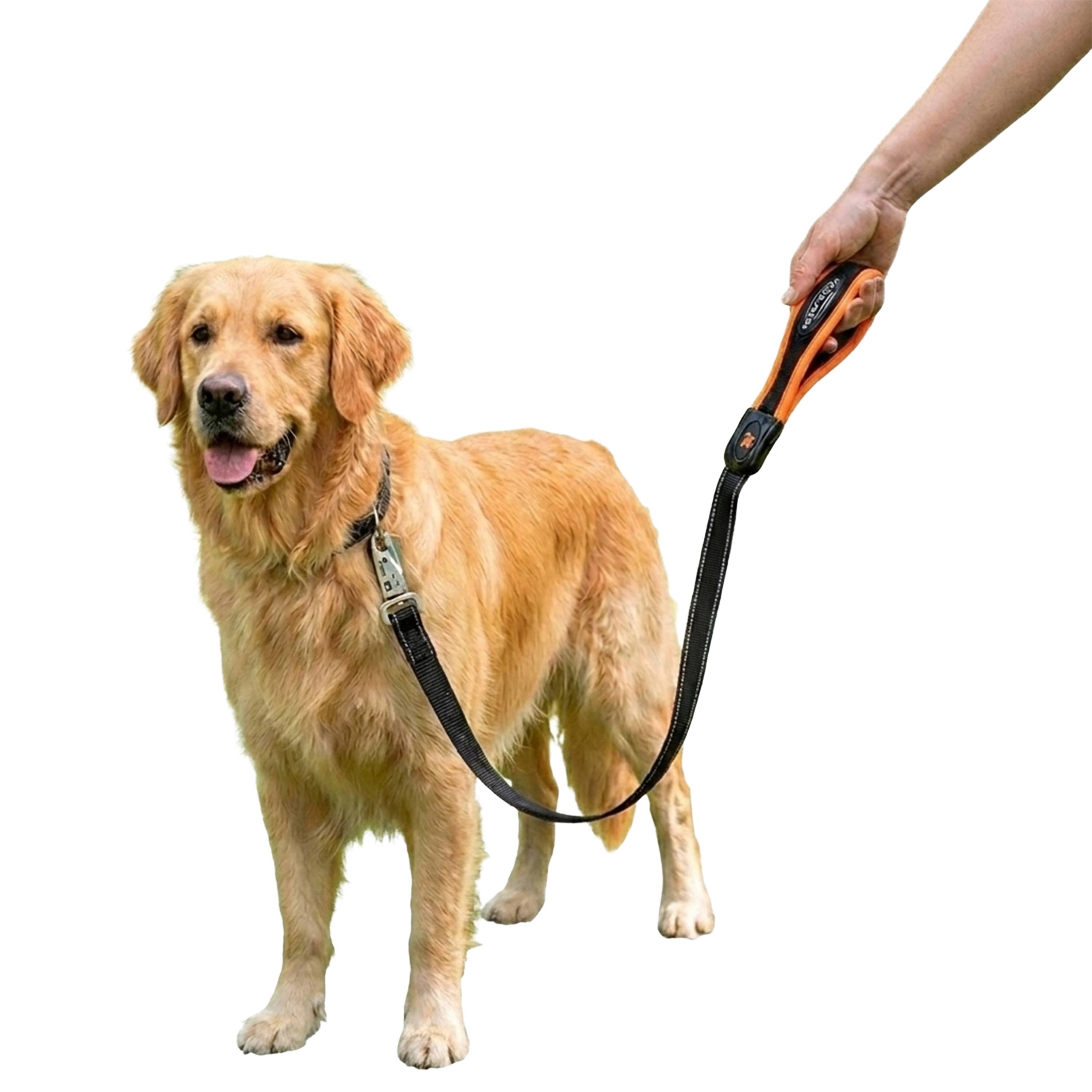 Ferplast - Ferplast Laisse pour chien ERGOFLUO MATIC, Laisse pour chien taille moyenne, Mousqueton innovant avec mécanisme magnétique, Poignée rembourrée, Nylon. - Image 7