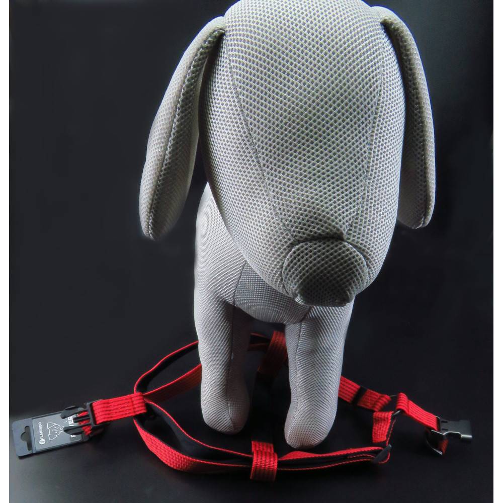 Harnais Jannu XS 20-35 cm 15 mm  rouge pour chien - Imagen 2