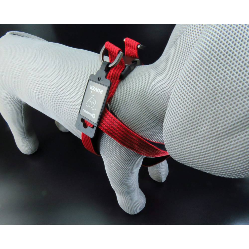 Harnais Jannu XS 20-35 cm 15 mm  rouge pour chien - Imagen 5