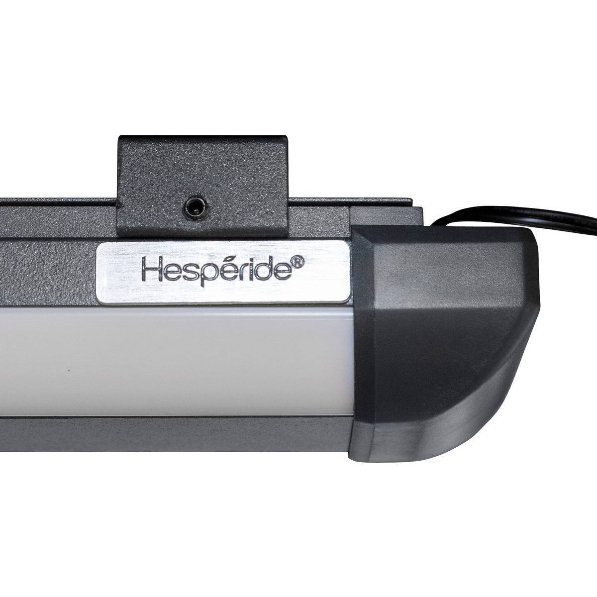 Hesperide - Lampe pour tonnelle et pergola graphite en aluminum Hespéride - Imagen 2