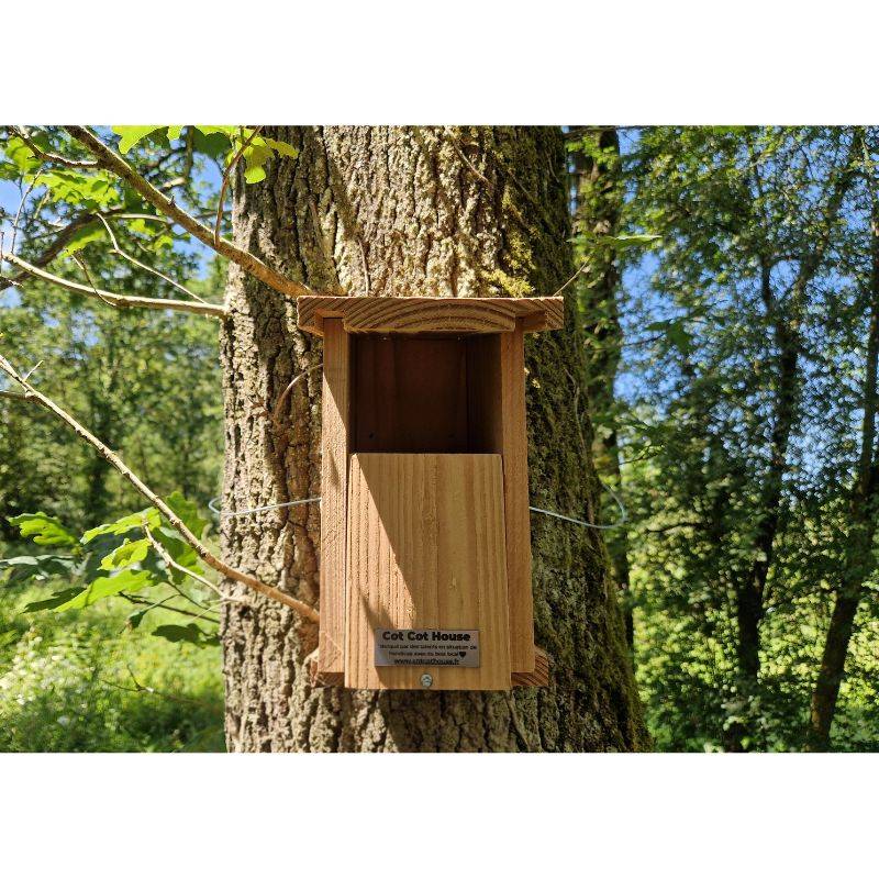Nichoir à oiseaux en kit pour rouge-gorge - Cot Cot House - Image 5