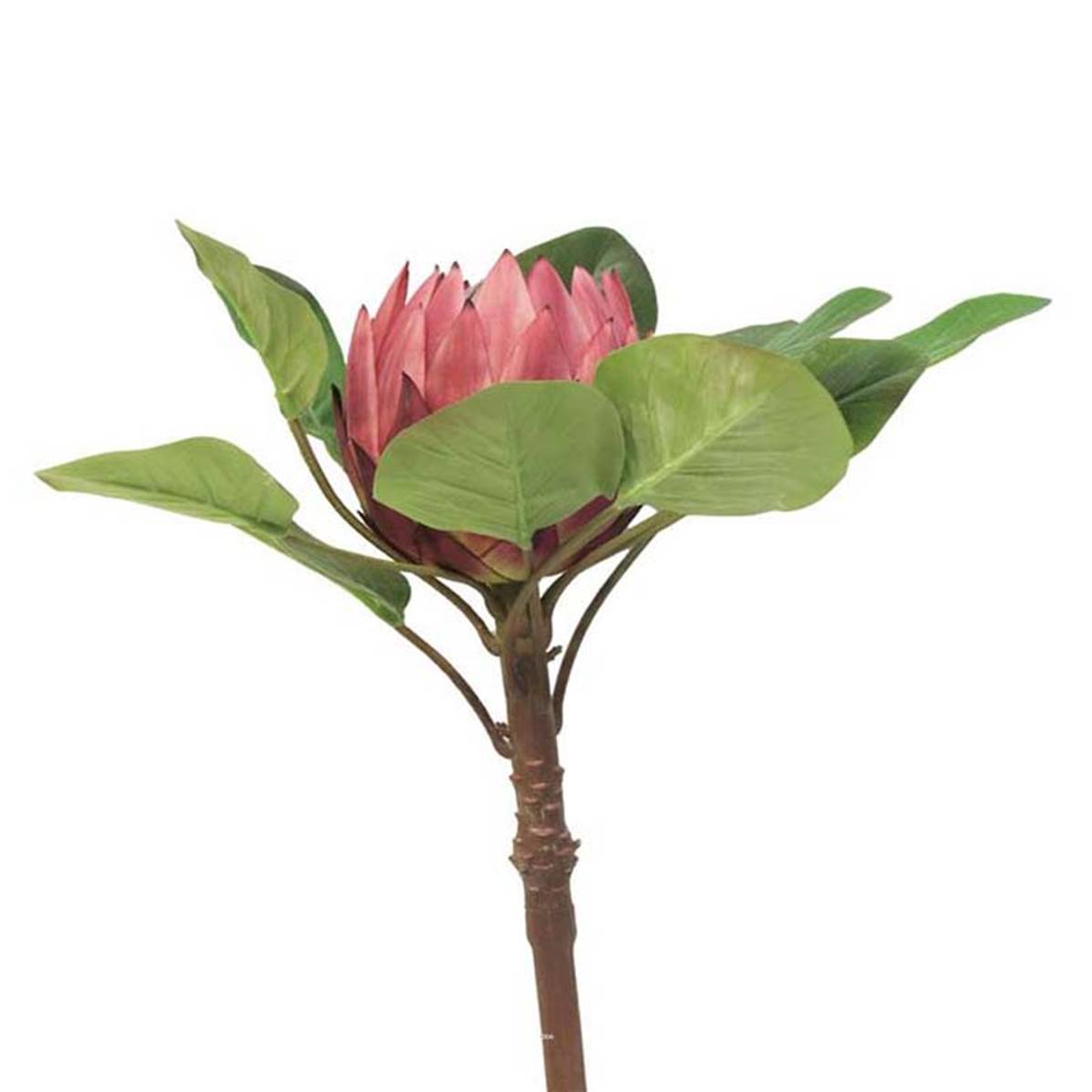 Artificielles - Protea artificielle, spéciale grande taille, H 84 cm - BEST - Imagen 2