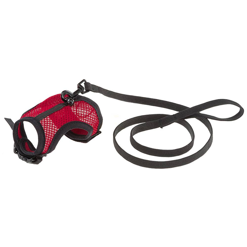 Ferplast - Harnais pour Cochons d'Inde JOGGING M, en Filet Perforé, Equipé de Laisse - Image 3