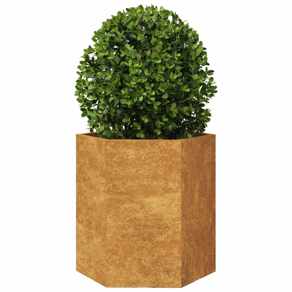 ComfortXL - Lot de 2 Carrés Potager Hexagonaux Acier Corten Rouillé Jardin 46x45 cm – ComfortXL Outdoor Living - Image 5