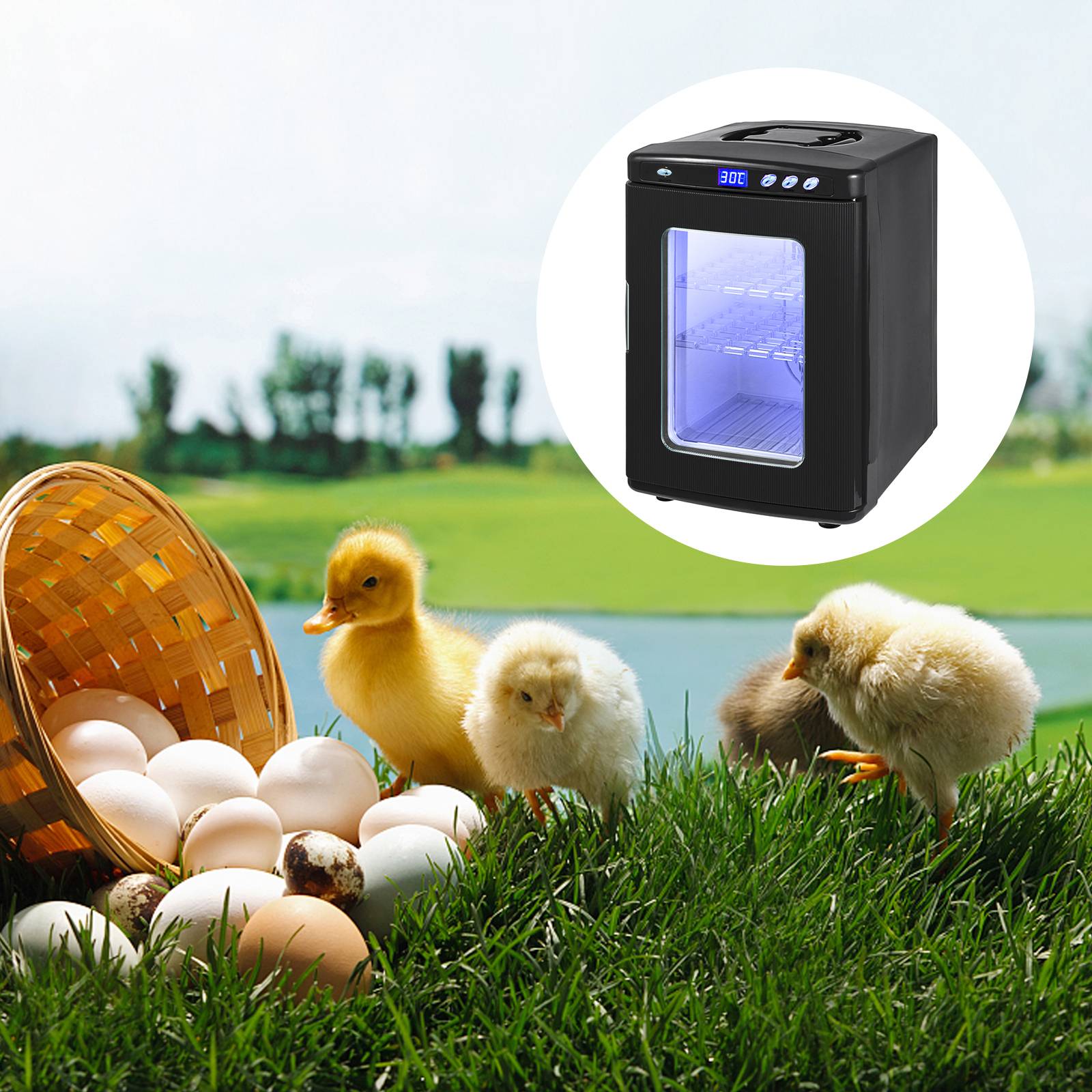 VEVOR Incubateur automatique à température constante, idéal pour les œufs de reptiles et d'amphibiens. - Image 8