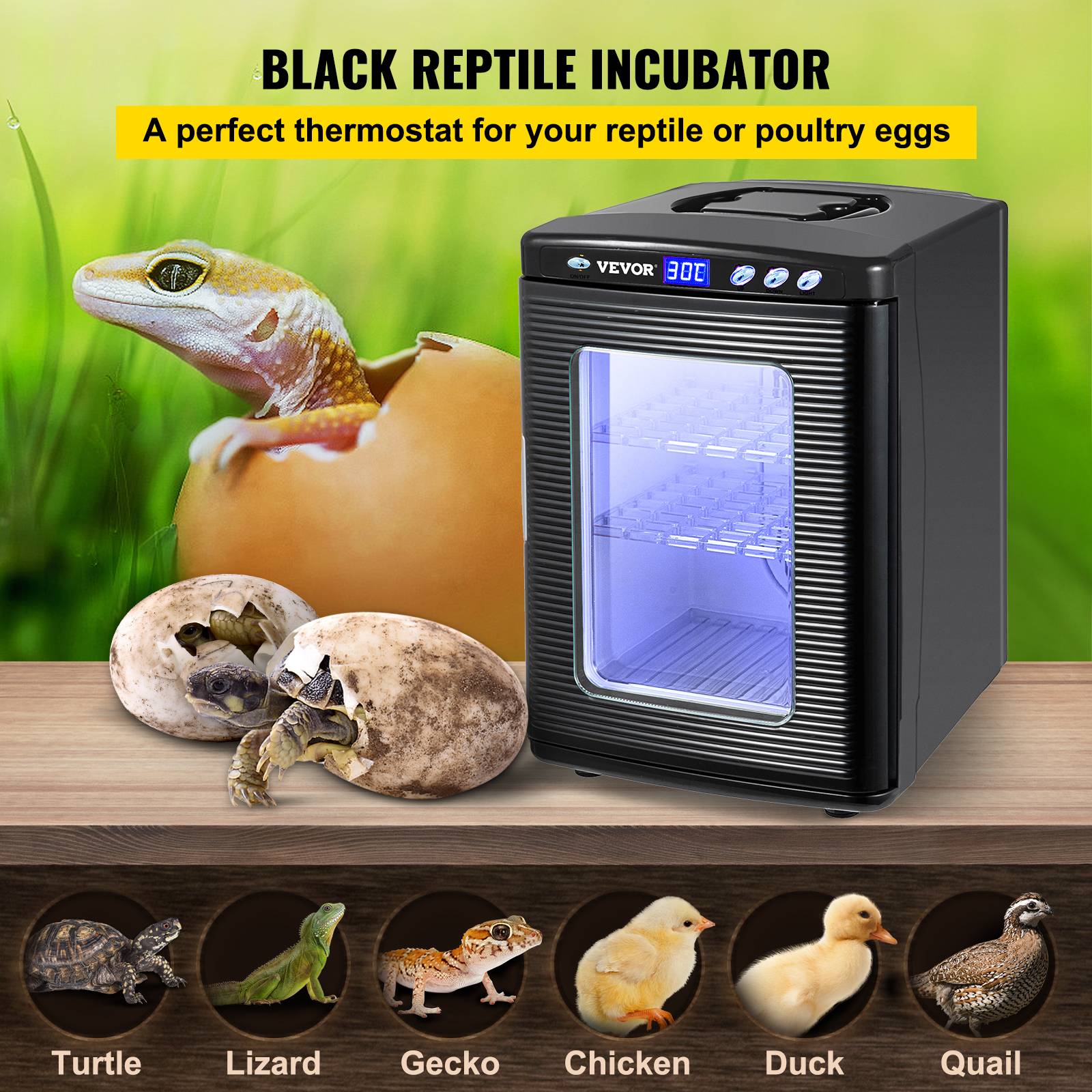 VEVOR Incubateur automatique à température constante, idéal pour les œufs de reptiles et d'amphibiens. - Image 2