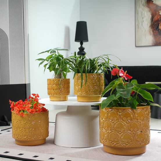 ComfortXL - Pot de fleurs en céramique Ø24 cm jaune chaud pour succulentes avec drainage - ComfortXL Outdoor Living - Image 5