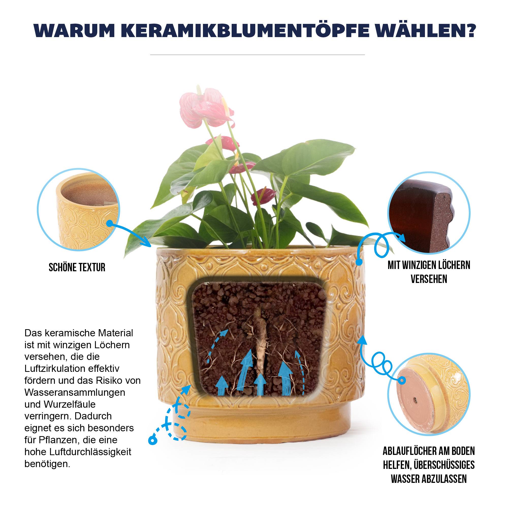 ComfortXL - Pot de fleurs en céramique Ø24 cm jaune chaud pour succulentes avec drainage - ComfortXL Outdoor Living - Image 6