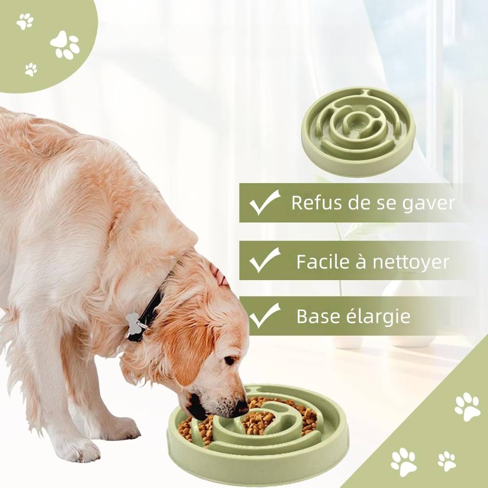 Mangeoire anti glouton pour chien et chat vert - IntiMeg - Image 3
