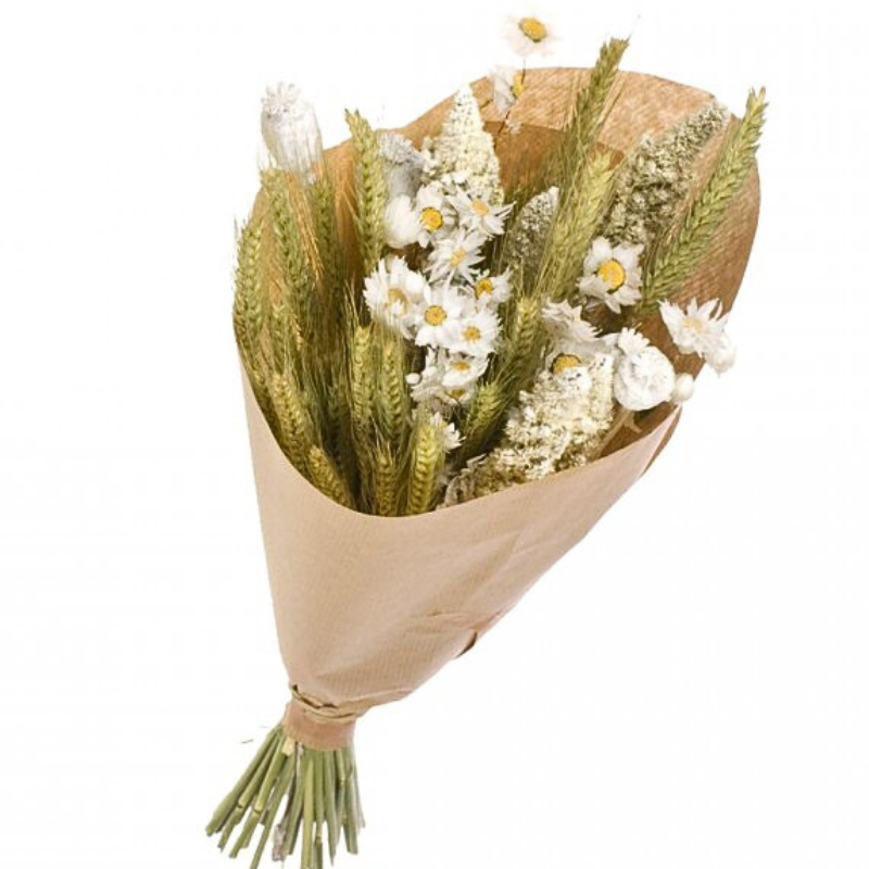 Naturalys - Fleurs Sechees Blanches & Nature Déco 50 cm - Naturalys