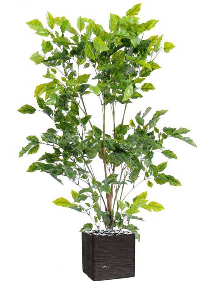 Artificielles - Palissandre artificielle en plastique arbre anti-UV en pot H 175 cm D 105 cm Vert - dimhaut: H 175 cm - couleur: Vert - Imagen 1