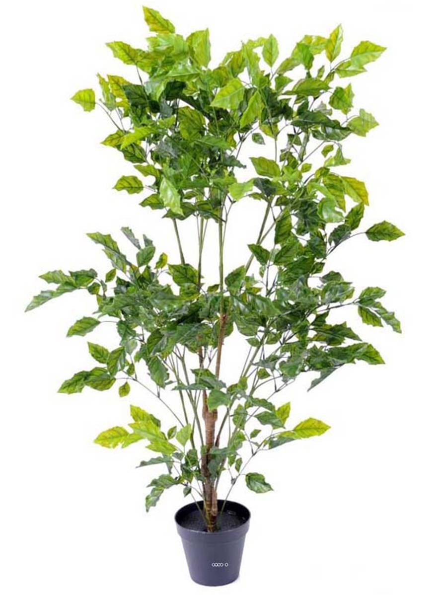 Artificielles - Palissandre artificielle en plastique arbre anti-UV en pot H 175 cm D 105 cm Vert - dimhaut: H 175 cm - couleur: Vert - Imagen 2
