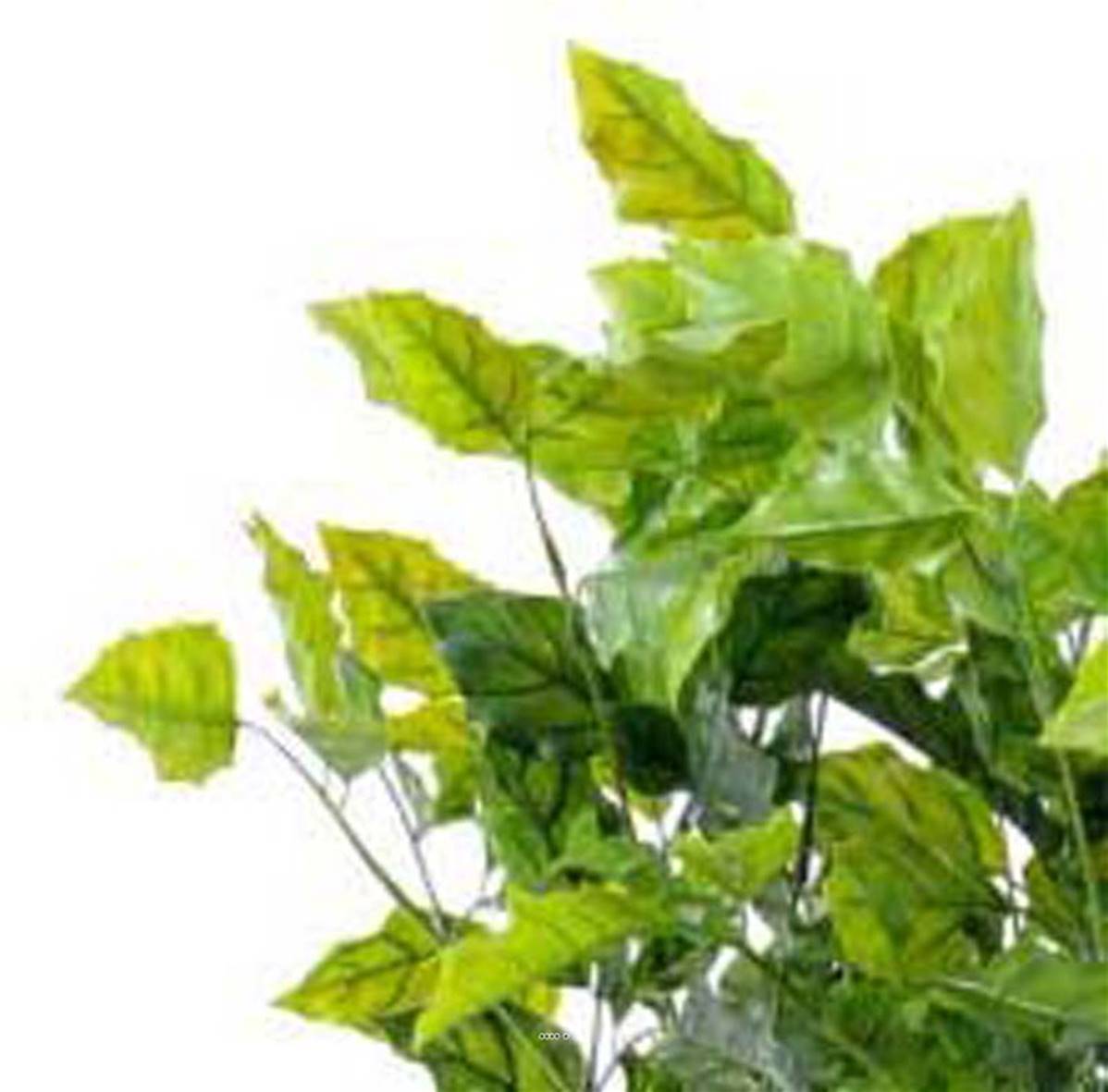 Artificielles - Palissandre artificielle en plastique arbre anti-UV en pot H 175 cm D 105 cm Vert - dimhaut: H 175 cm - couleur: Vert - Imagen 3