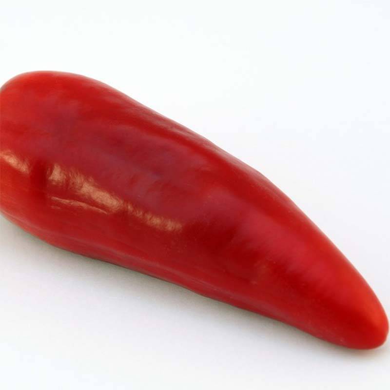 Piment Jalapeño mexicain Bio le sachet de 30 graines environ (0,2g)