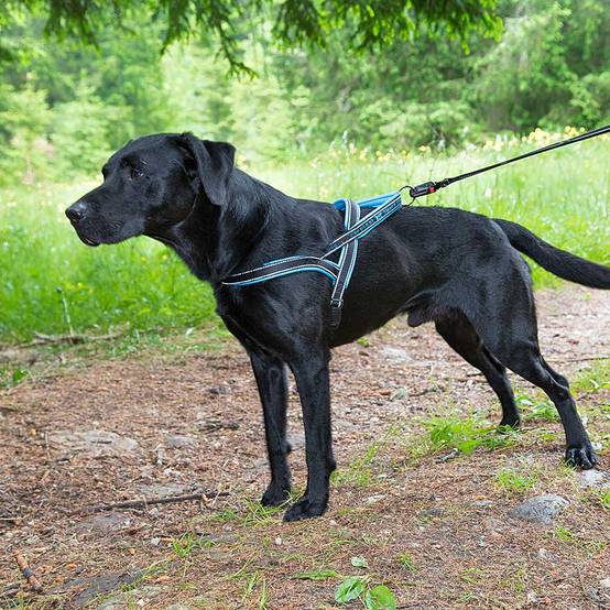 Ferplast - Ferplast Harnais chien SPORT DOG, Harnais pour chien taille Grande, Harnais Suédois, Rembourrage doux, Coutures Réfléchissantes, Fermeture par - Imagen 4