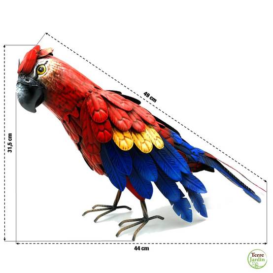 Perroquet deco jardin animaux - TERRE JARDIN - Image 4