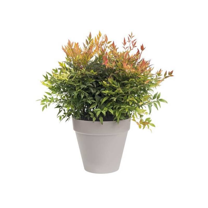 Elho - Elho Pot De Fleurs Rond Loft Urban - ø 30 Cm - Gris Chaud - Imagen 2