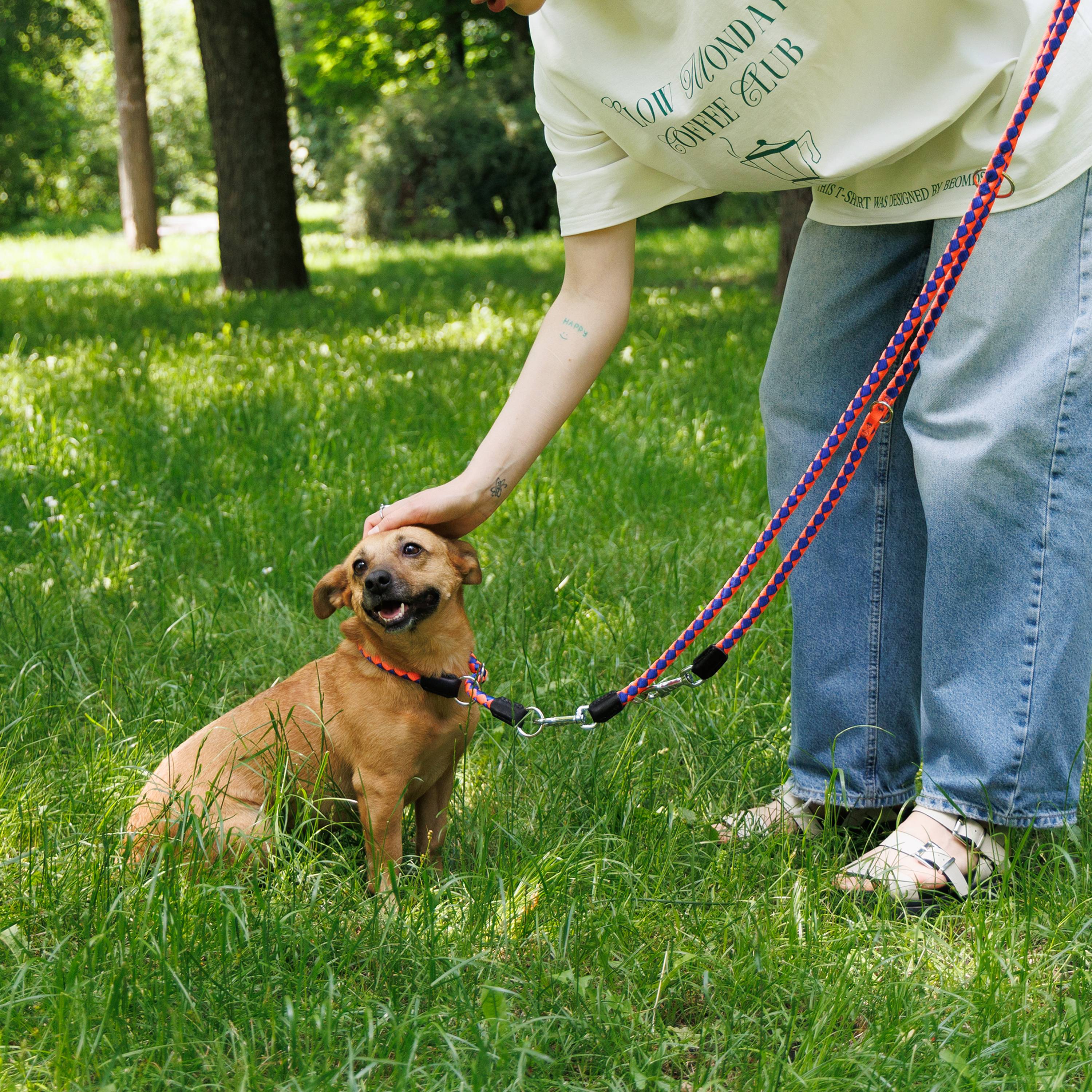 Ferplast - Laisse de Dressage pour Chiens en Nylon TWIST MATIC GA12/200, Mousqueton Magnétique Automatique - Imagen 3