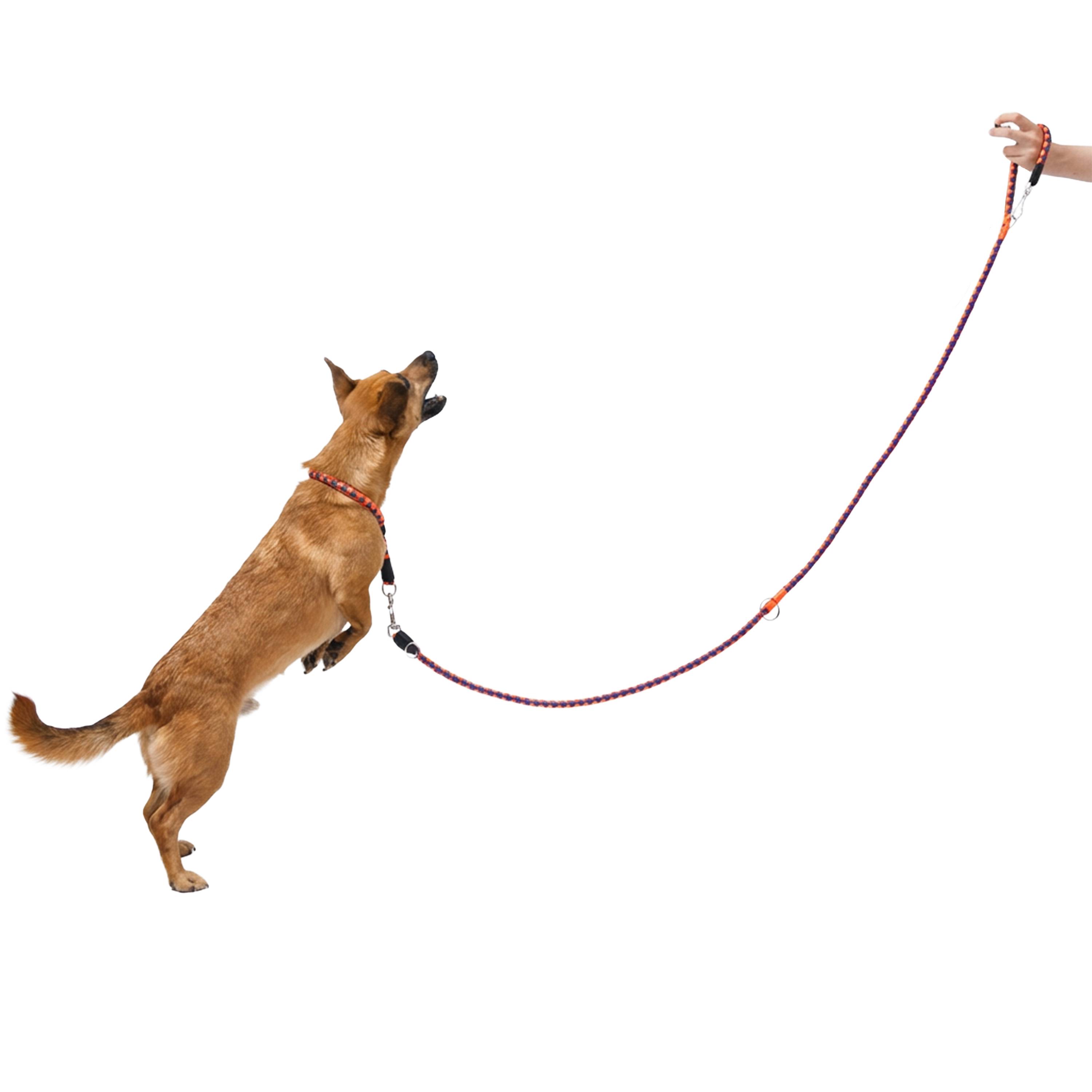 Ferplast - Laisse de Dressage pour Chiens en Nylon TWIST MATIC GA12/200, Mousqueton Magnétique Automatique - Imagen 4