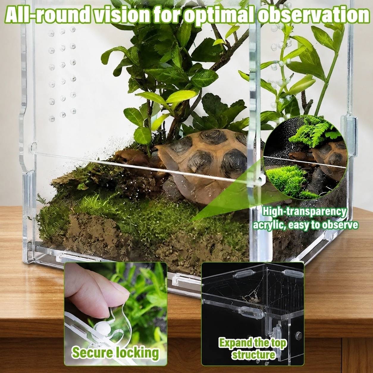 Terrarium Portable Acrylique Vue Panoramique 360° ventilation optimale pour reptiles escargots - Image 3