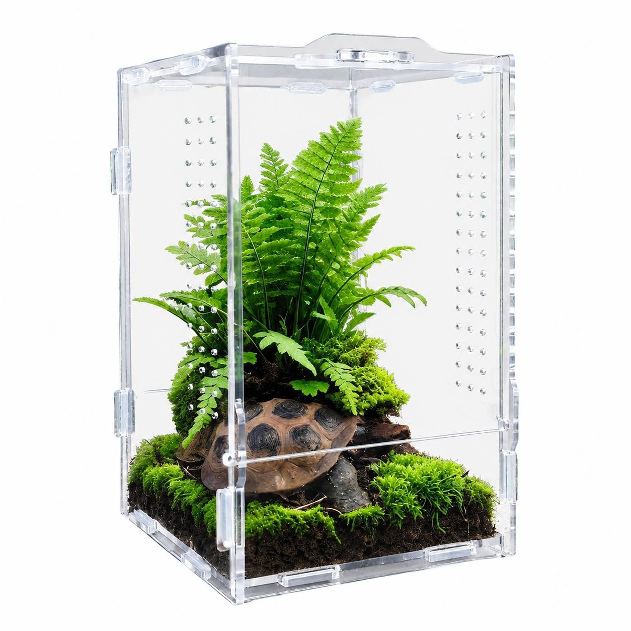 Terrarium Portable Acrylique Vue Panoramique 360° ventilation optimale pour reptiles escargots