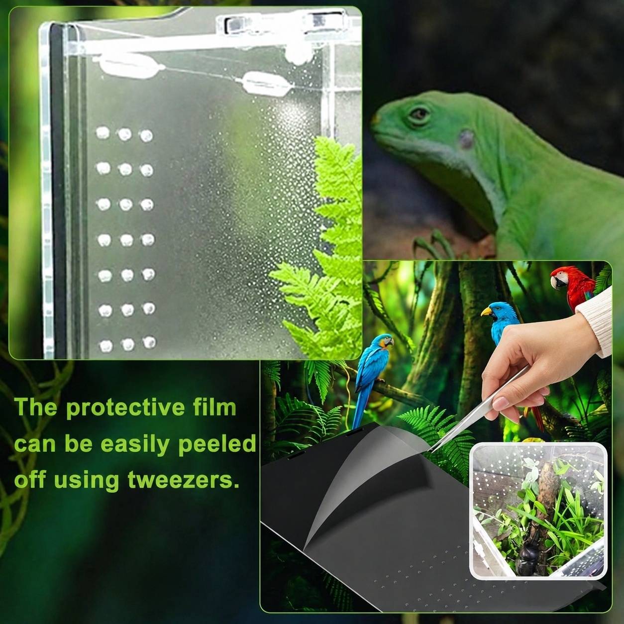 Terrarium Portable Acrylique Vue Panoramique 360° ventilation optimale pour reptiles escargots - Image 5