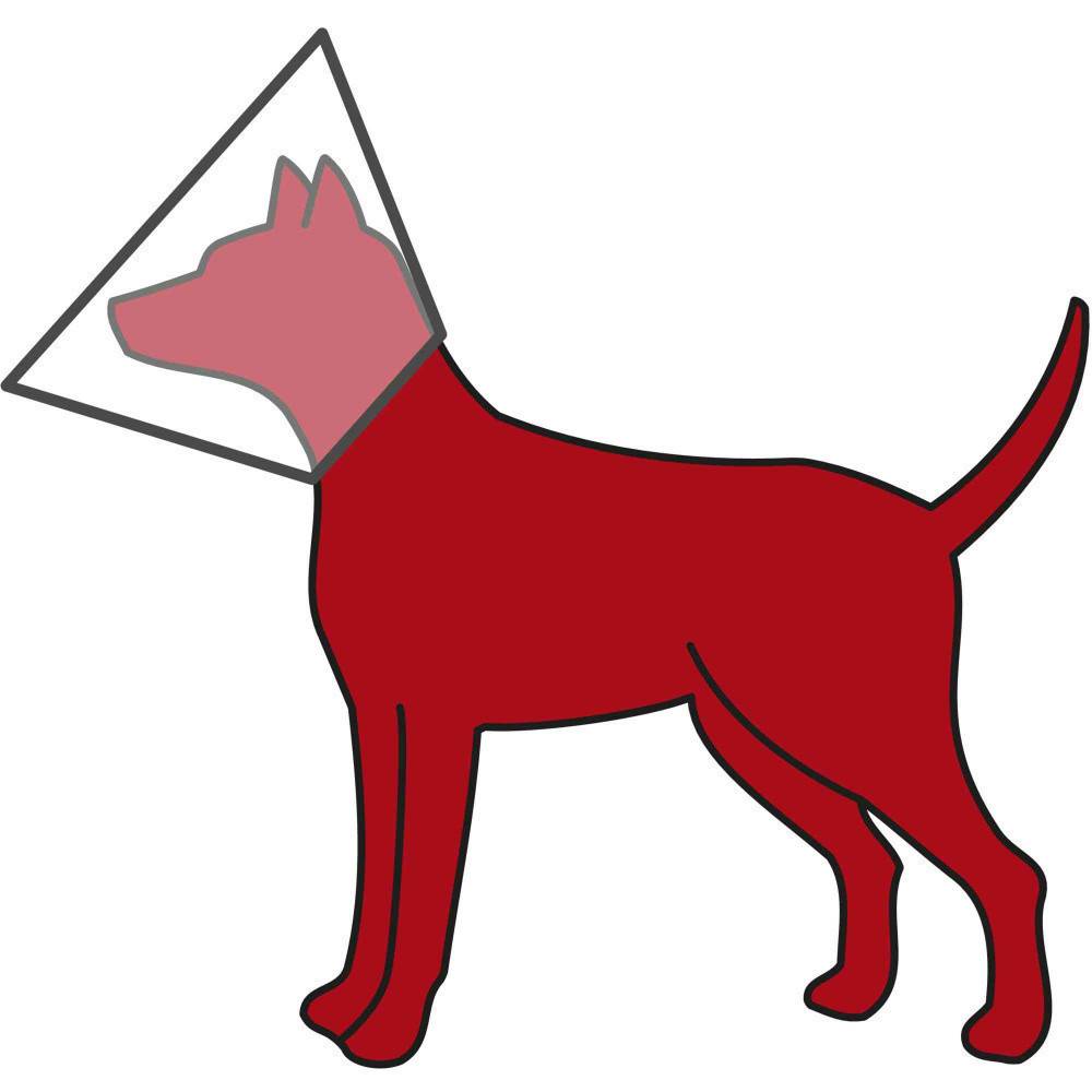 Trixie - Collerette de protection M 38-44cm / 20cm, chien - Imagen 2