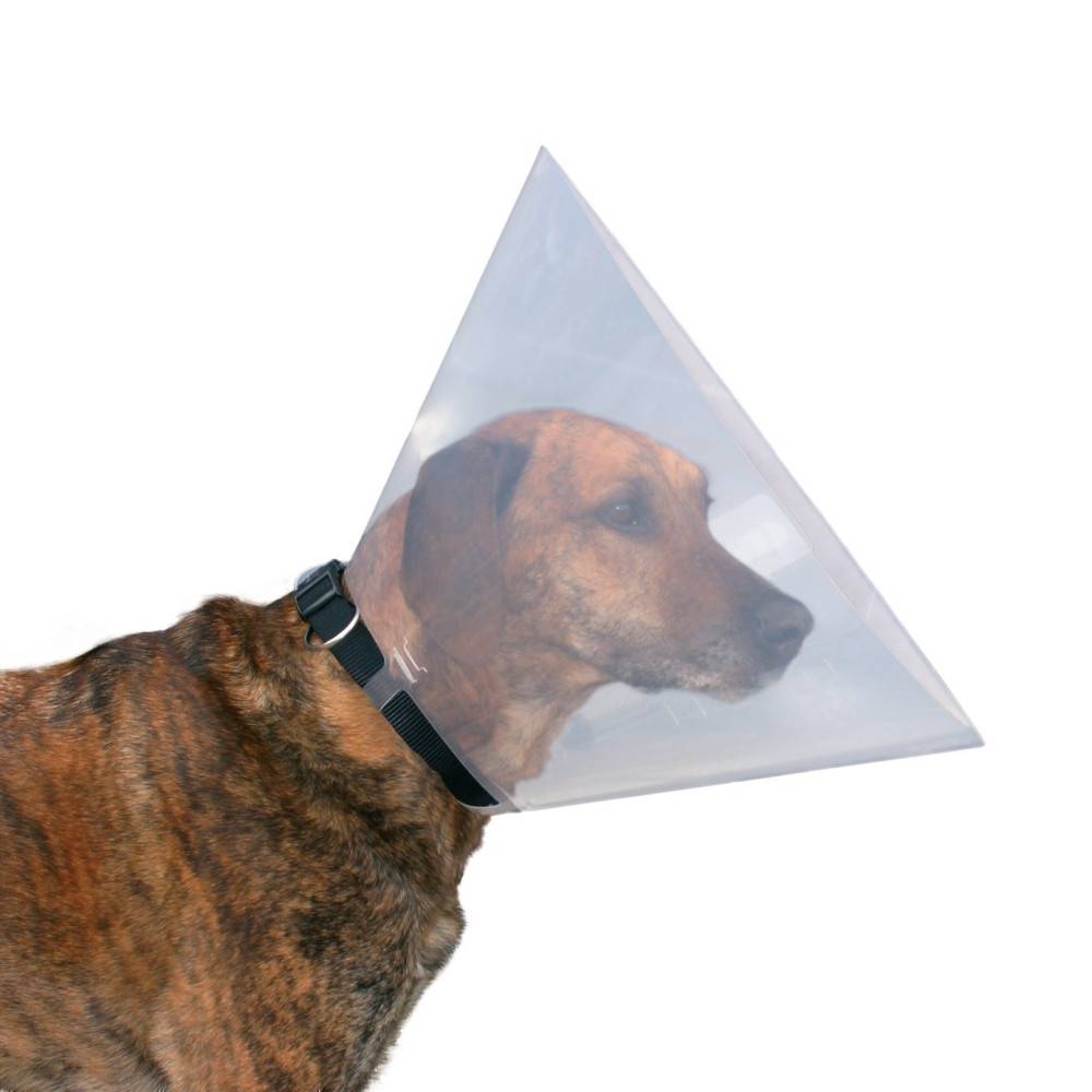 Trixie - Collerette de protection M 38-44cm / 20cm, chien - Image 1