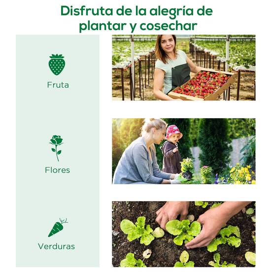 Serre Châssis de Jardin Acier et Bâche PE Anti-UV avec 4 Fenêtres pour Potager 200x80x45 cm Vert - ComfortXL Outdoor Living - Image 9