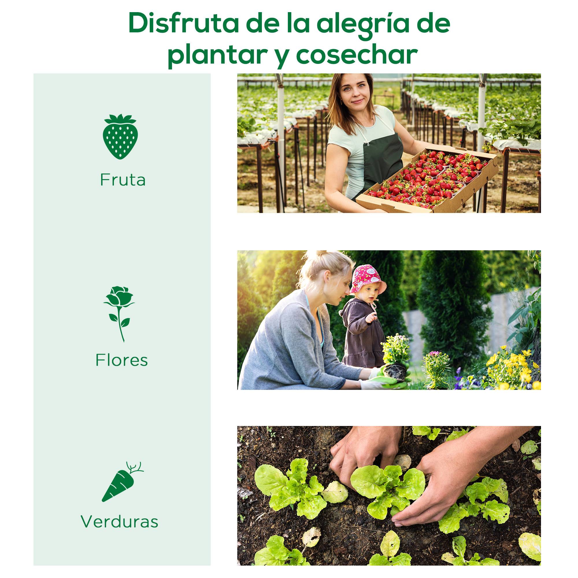 Serre Châssis de Jardin Acier et Bâche PE Anti-UV avec 4 Fenêtres pour Potager 200x80x45 cm Vert - ComfortXL Outdoor Living - Image 9