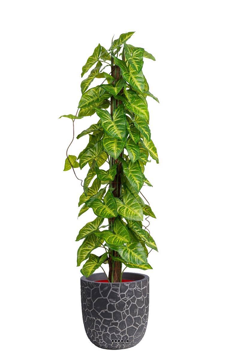 Artificielles - Feuillage d'Hosta artificiel sur pied en pot, H 90 cm, D 26 cm - Imagen 2