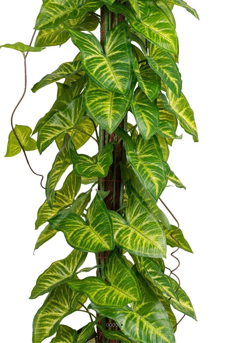 Artificielles - Feuillage d'Hosta artificiel sur pied en pot, H 90 cm, D 26 cm - Imagen 3