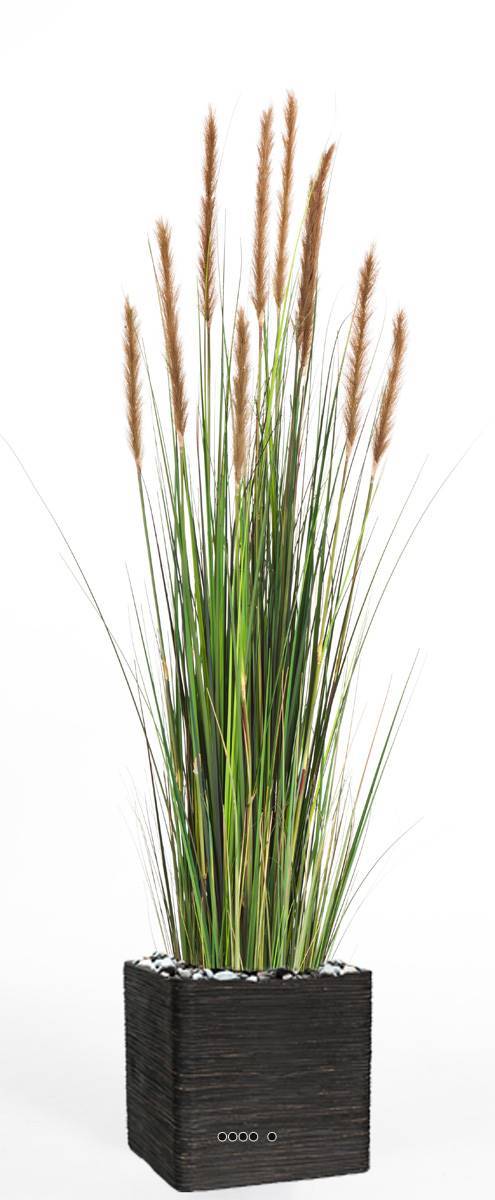 Artificielles - Graminee artificielle Marron H 150 cm 664 tiges 10 pompons en pot - dimhaut: H 150 cm - couleur: Havane