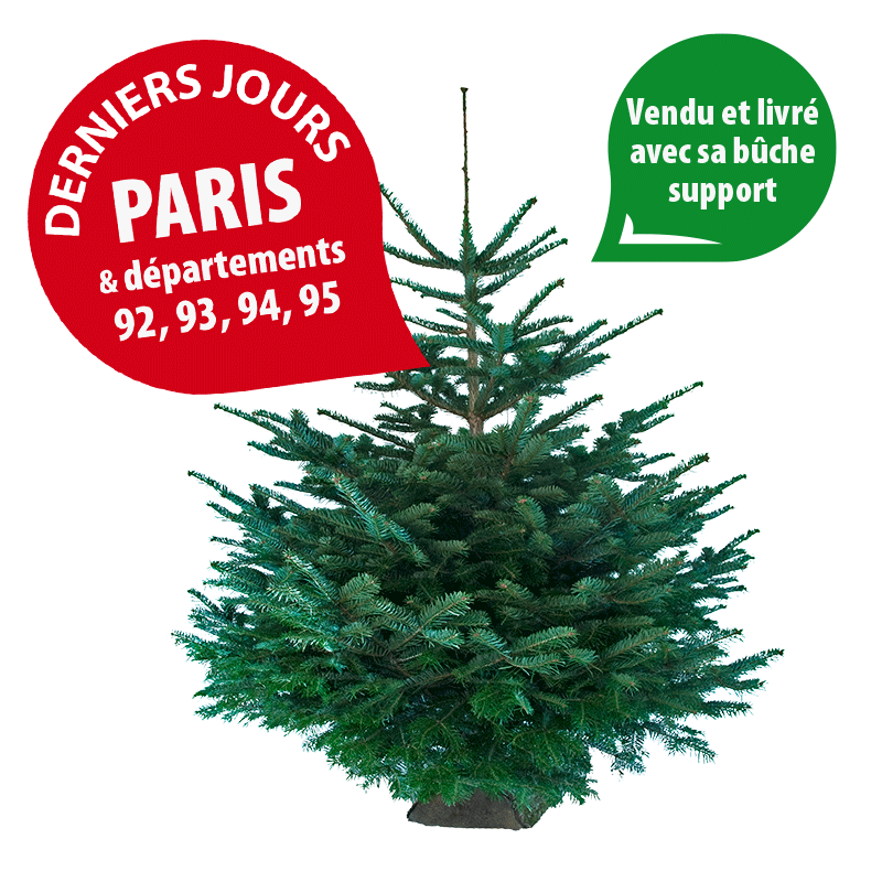 Sapin de Noël Nordmann naturel 140-160 cm avec support bûche - Imagen 1