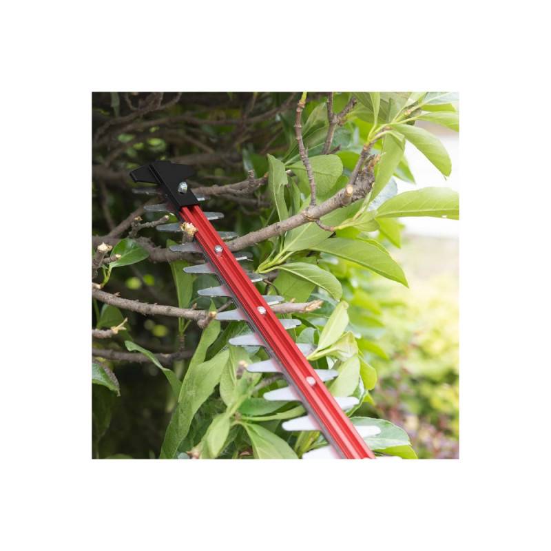 Greenworks - Taille-haies Brushless 66 cm 40V GREENWORKS - Sans batterie ni chargeur - GD40HT66 - Image 2