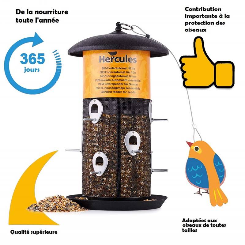 Mangeoire Oiseaux Extérieur 35cm - Distributeur Graines Suspendu Imperméable Pour Oiseaux Sauvages