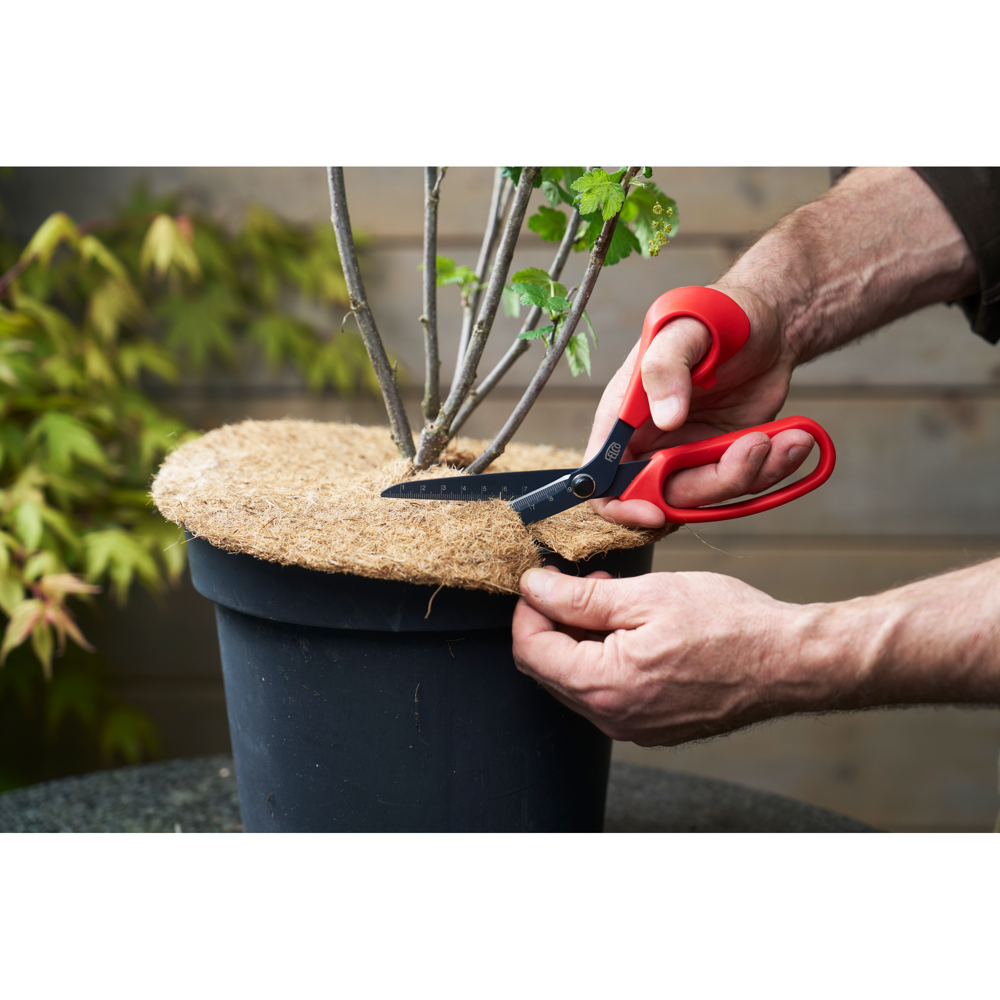 Felco - FELCO 455 : Ciseaux polyvalents professionnels - Lames inox antiadhésives - Idéal jardinage, décoration et cuisine - Image 2